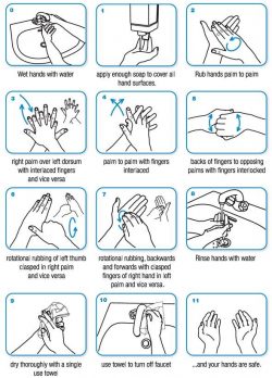 handwashing_guidlines